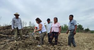 Piden mayor inversión en innovación de la agricultura peruana