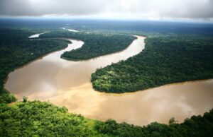 Día de la Tierra: Unen fuerzas en la lucha por la conservación del agua y caudales ecológicos en Perú