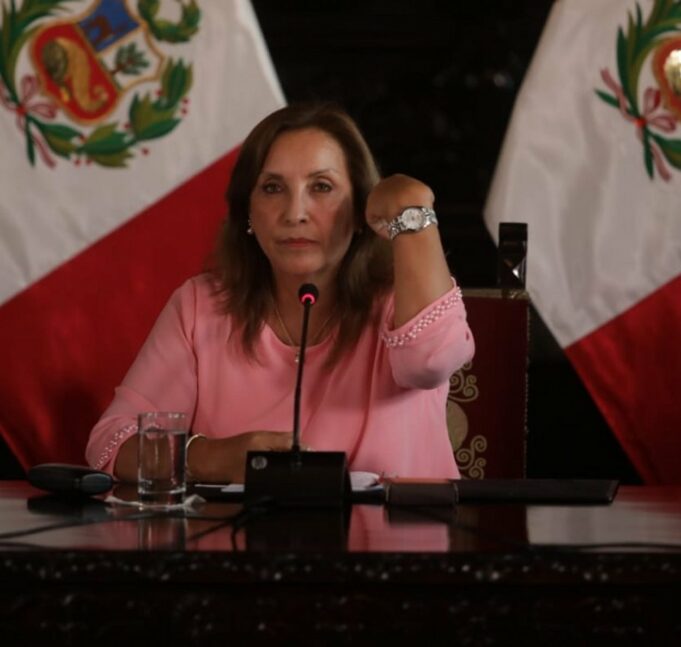 Dina Boluarte: Cara de palo, le miente al país sin vergüenza alguna