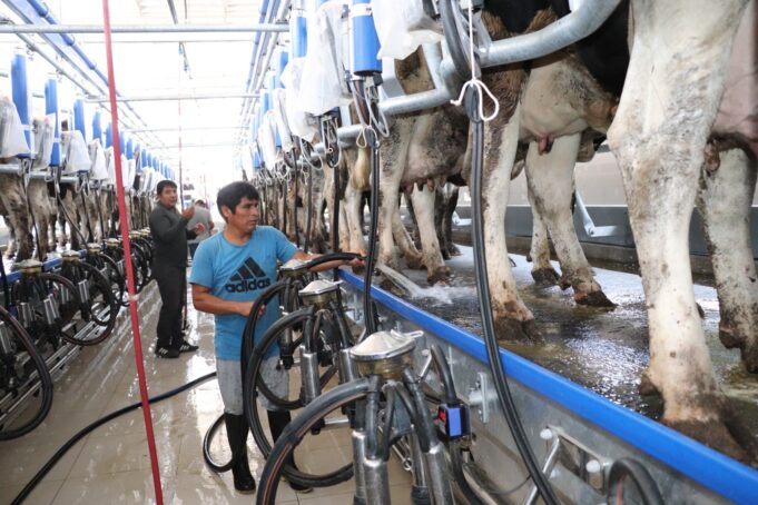 Ministro Angel Manero: Gobierno impulsa la ganadería familiar con moderna sala de ordeño