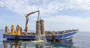PRODUCE : Más de mil agentes de la pesca artesanal y la acuicultura se benefician con habilitaciones sanitarias