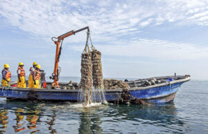 PRODUCE : Más de mil agentes de la pesca artesanal y la acuicultura se benefician con habilitaciones sanitarias