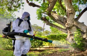 San Isidro continúa con exitosa campaña contra el dengue, siendo el distrito con menos casos reportados en todo Lima