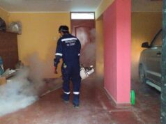 Dirección de Redes Integradas de Salud – Diris Lima Sur intervino más de 4 mil viviendas en lucha contra el dengue