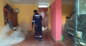 Dirección de Redes Integradas de Salud – Diris Lima Sur intervino más de 4 mil viviendas en lucha contra el dengue