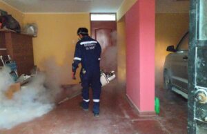 Dirección de Redes Integradas de Salud – Diris Lima Sur intervino más de 4 mil viviendas en lucha contra el dengue