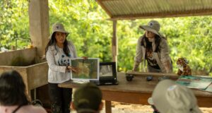 Madre de Dios: Instalan más de 60 cámaras trampa para monitorear jaguares en Amazonía