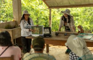 Madre de Dios: Instalan más de 60 cámaras trampa para monitorear jaguares en Amazonía