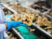 MIDAGRI impulsa planes de negocios de kion en beneficio de 293 familias de Junín