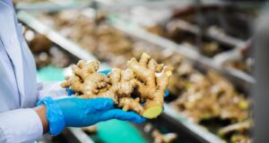 MIDAGRI impulsa planes de negocios de kion en beneficio de 293 familias de Junín