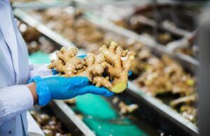 MIDAGRI impulsa planes de negocios de kion en beneficio de 293 familias de Junín