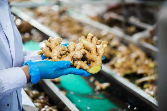 MIDAGRI impulsa planes de negocios de kion en beneficio de 293 familias de Junín