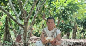 Ucayali: familia del programa Juntos seconvierte en productora de cacao