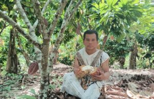 Ucayali: familia del programa Juntos seconvierte en productora de cacao