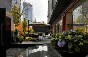 DAHU: Moderno centro terapéutico abre sus puertas en San Isidro