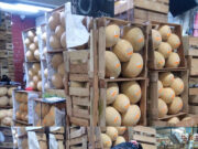 El melón: rico, barato y muy nutritivo