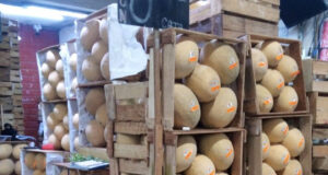 El melón: rico, barato y muy nutritivo