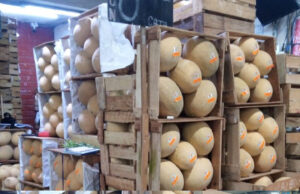 El melón: rico, barato y muy nutritivo