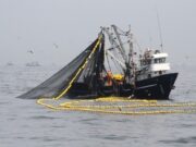 Ministro de la Producción: «Pesca de anchoveta en la zona Norte – Centro superó el 60% de avance de la cuota asignada»