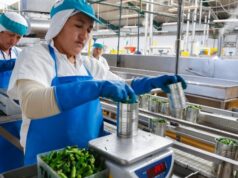 Ejecutivo aprobó política nacional para la calidad al 2030