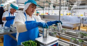 Ejecutivo aprobó política nacional para la calidad al 2030