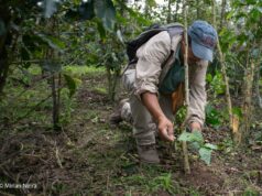 Biocrédito: Primera herramienta financiera ‘Verde’ qué colocará S/ 13.6 millones en la Amazonía peruana en 2024
