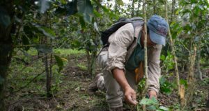 Biocrédito: Primera herramienta financiera ‘Verde’ qué colocará S/ 13.6 millones en la Amazonía peruana en 2024