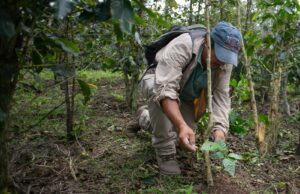 Biocrédito: Primera herramienta financiera ‘Verde’ qué colocará S/ 13.6 millones en la Amazonía peruana en 2024