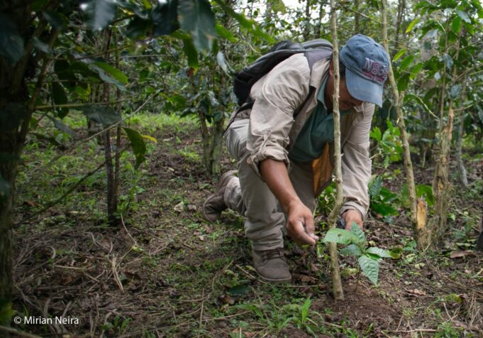 Biocrédito: Primera herramienta financiera ‘Verde’ qué colocará S/ 13.6 millones en la Amazonía peruana en 2024