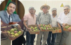 Ministro ‘Cabeceador’: Títular de Desarrollo Agrario, Ángel Manero, debe 215 mil dólares a agricultores de San Lorenzo