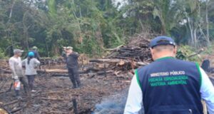 Ucayali: fiscalía dirige operativo contra tala ilegal de bosques e interviene en flagrancia a tres sujetos
