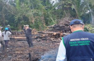 Ucayali: fiscalía dirige operativo contra tala ilegal de bosques e interviene en flagrancia a tres sujetos