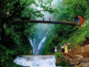 Encuentra lo mejor de la selva central en el Centro de Lima