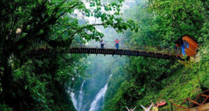 Encuentra lo mejor de la selva central en el Centro de Lima