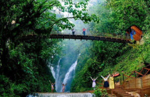 Encuentra lo mejor de la selva central en el Centro de Lima