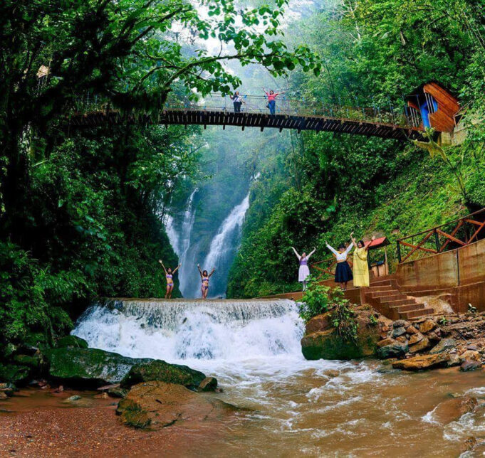Encuentra lo mejor de la selva central en el Centro de Lima