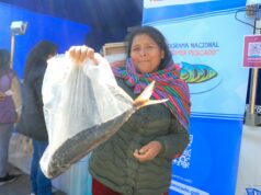 Ministro de la Producción anunció que se ofertará más de 200 toneladas de pescado en Ayacucho durante el 2024
