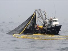 Ministro de la Producción anuncia que primera temporada de anchoveta en la zona Norte-Centro tiene un avance de 92% de captura