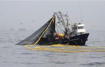 Ministro de la Producción anuncia que primera temporada de anchoveta en la zona Norte-Centro tiene un avance de 92% de captura