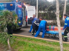 Bebé nace en la Panamericana Sur gracias a oportuna asistencia de Serenazgo de Surco