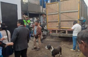 Baño de sangre en Lurigancho-Chosica: a combazos asesinan a tres recicladores