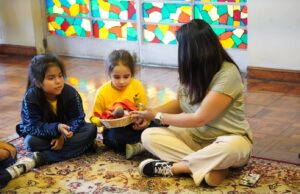 Educación inclusiva: estrategias innovadoras para formar profesores en diversidad