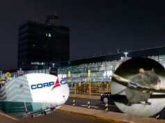 «Fueron los ratones»: la increíble excusa de Corpac por apagón en aeropuerto Jorge Chávez