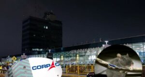 «Fueron los ratones»: la increíble excusa de Corpac por apagón en aeropuerto Jorge Chávez
