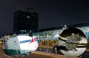 «Fueron los ratones»: la increíble excusa de Corpac por apagón en aeropuerto Jorge Chávez