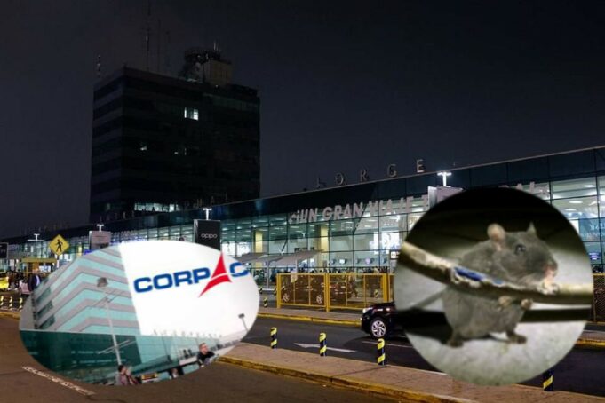 «Fueron los ratones»: la increíble excusa de Corpac por apagón en aeropuerto Jorge Chávez