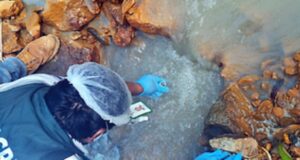 Fiscalía de Bagua constató contaminación de agua y depredación de bosques en Cordillera del Cóndor frente al Ecuador