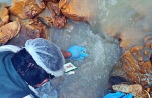 Fiscalía de Bagua constató contaminación de agua y depredación de bosques en Cordillera del Cóndor frente al Ecuador