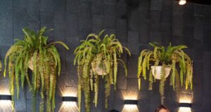 Estas hermosas mujeres estuvieron presentes en el evento de moda de Brenda Zapata