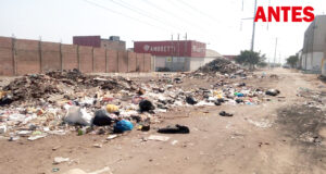 Limpian el Parque Industrial